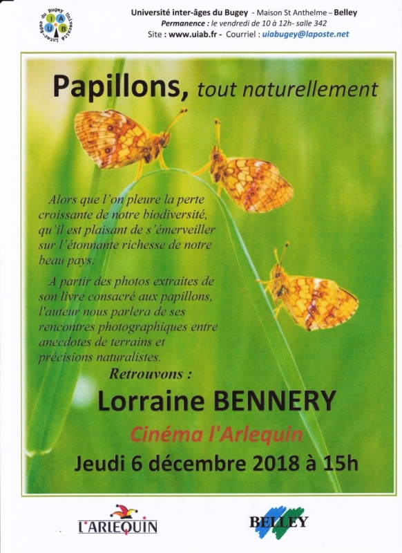 les-papillons-sous-toutes-leurs-formes
